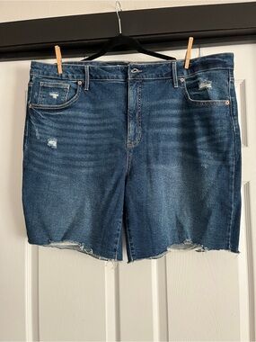Terra & Sky Dark Blue Distressed Denim Shorts